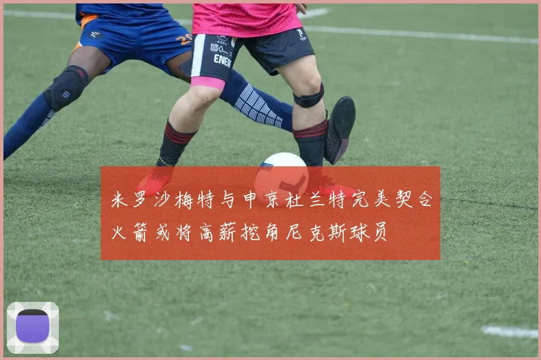 米罗沙梅特与申京杜兰特完美契合火箭或将高薪挖角尼克斯球员