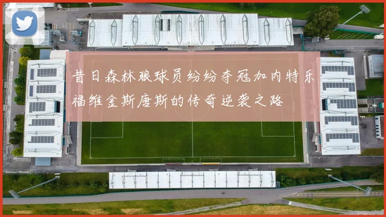 昔日森林狼球员纷纷夺冠加内特乐福维金斯唐斯的传奇逆袭之路
