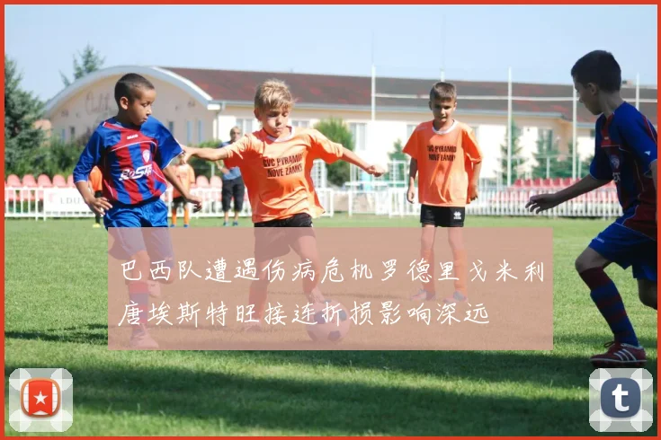 巴西队遭遇伤病危机罗德里戈米利唐埃斯特旺接连折损影响深远